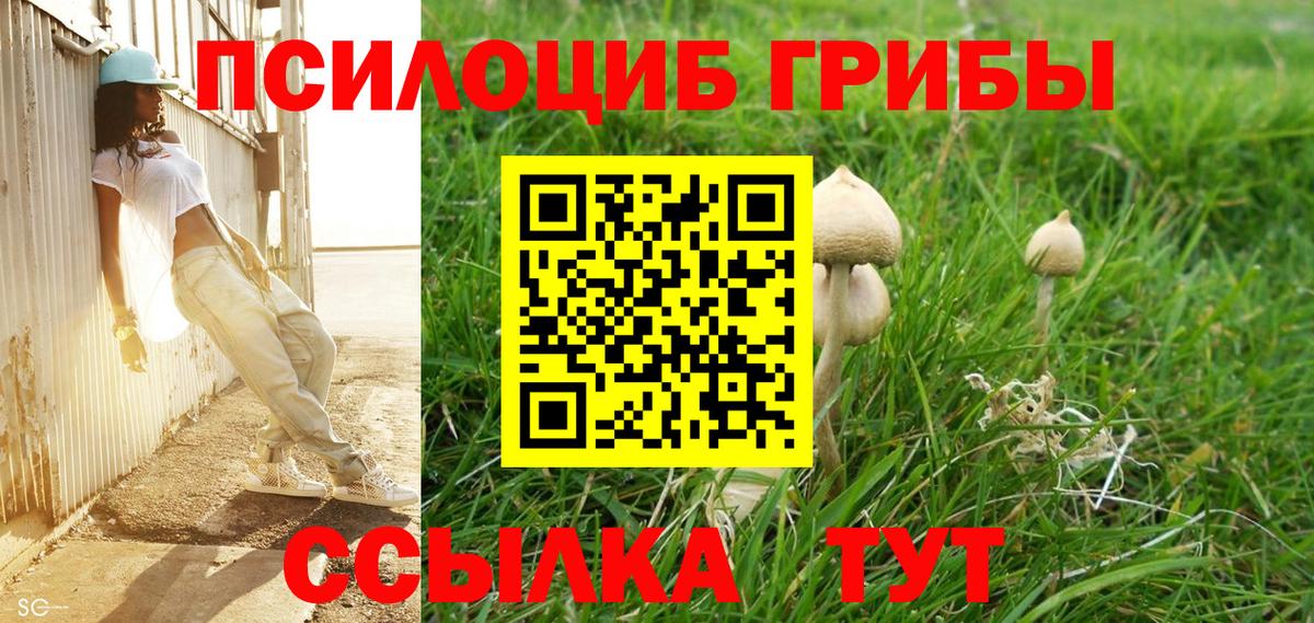 Псилоцибиновые грибы Magic Shrooms Егорьевск