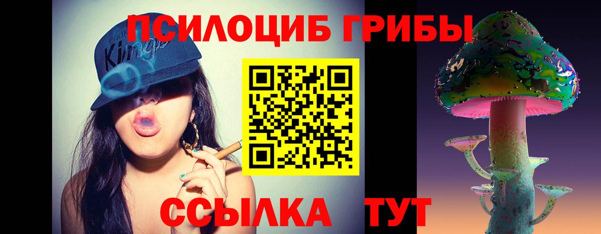 Егорьевск  Псилоцибиновые грибы GOLDEN TEACHER  Вход с VPN 